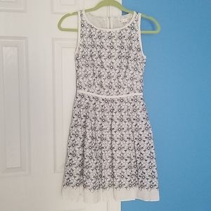 Max Studio White/ Navy Daisy Dress